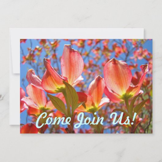 Roze blauwe uitvindingen Dogwood Tree Flowers Flor Kaart (Voorkant)