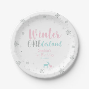 Roze & Blauwe Winter Onederland 1e Verjaardagsfees Papieren Bordje