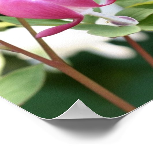 Roze Bloedend Hart Bloemspiegel Abstract Poster (Hoek)