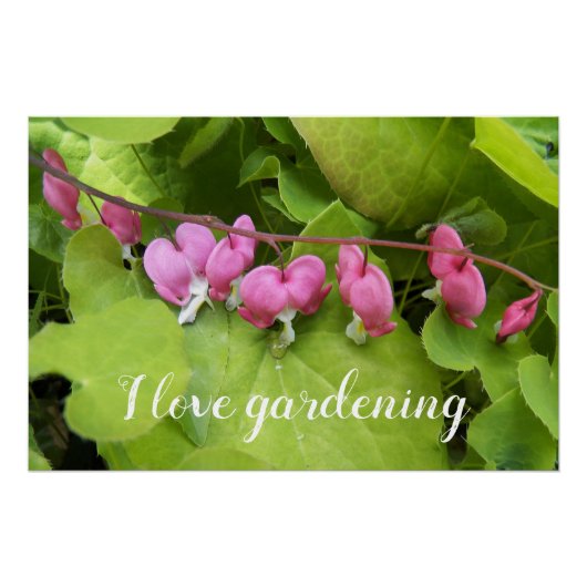 Roze Bloedend Hart Ik hou van tuinieren Floral Perfect Poster (Voorkant)