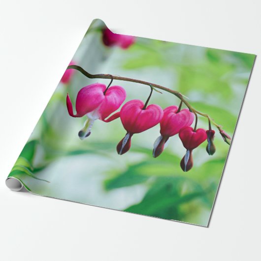 Roze bloeding Hartbloeding Bloem  Elegant Cadeaupapier (Uitgerold)