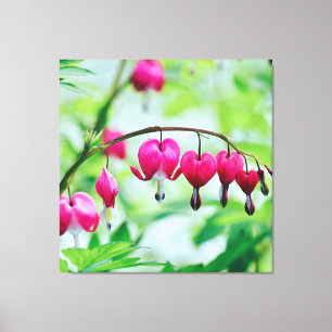 Roze bloeding Hartbloeding Bloem  Elegant Canvas Afdruk