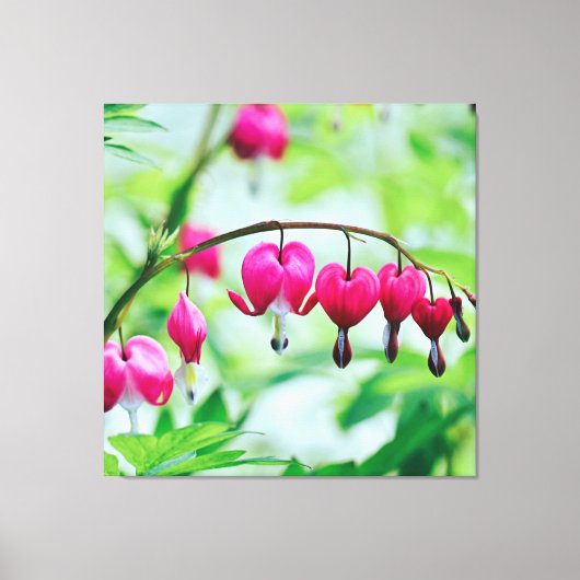 Roze bloeding Hartbloeding Bloem  Elegant Canvas Afdruk (Voorkant)