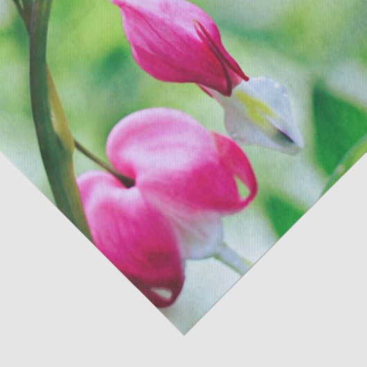 Roze bloeding Hartbloeding Bloem Elegant Tissuepapier (Detail)