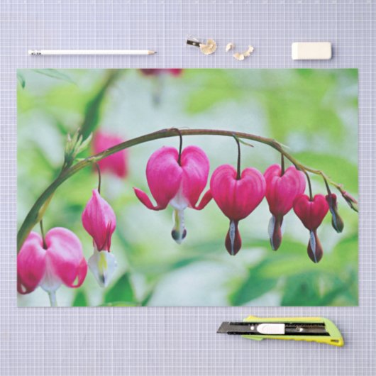 Roze bloeding Hartbloeding Bloem  Elegant Tissuepapier (Craft)