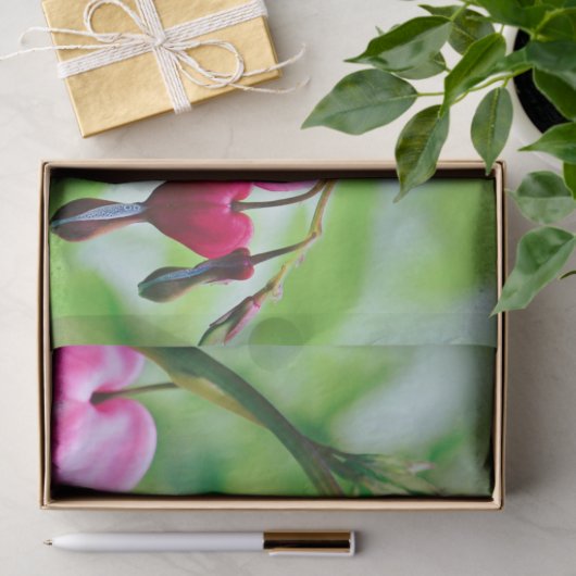 Roze bloeding Hartbloeding Bloem  Elegant Tissuepapier (Geschenk)