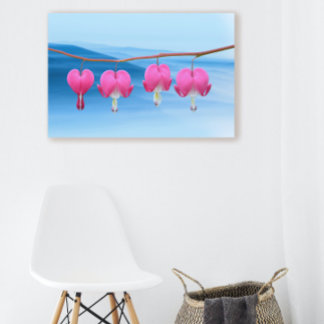 Roze bloeding Hartbloem op blauwe achtergrond Canvas Afdruk