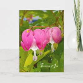 roze bloeding hartbloemen en regen kaart