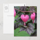 Roze bloeding Harten Briefkaart (Voorkant / Achterkant)