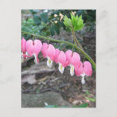 Roze bloeding Harten Briefkaart (Voorkant)