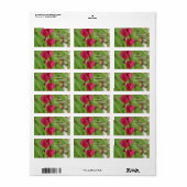 Roze bloeding Harten Etiket (Full Sheet)