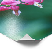 Roze bloeding harten in de tuin. Krediet als: Foto Afdruk (Hoek)