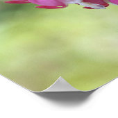 Roze bloeding Hartslag Bloem Poster (Hoek)