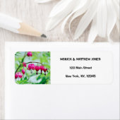 Roze bloedingen Bloedvataanklep Etiket (Insitu)