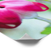 Roze bloedingen Bloedvataanklep Poster (Hoek)