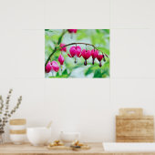 Roze bloedingen Bloedvataanklep Poster (Keuken)