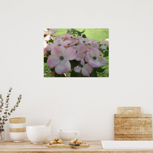 Roze bloeiend Poster van Dogwood (Keuken)