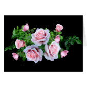 Roze bloeiend Roos (Voorkant Horizontaal)