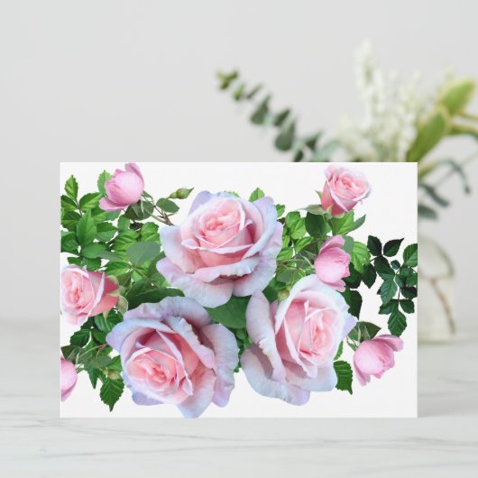 Roze bloeiend Roos (Staand voorkant)