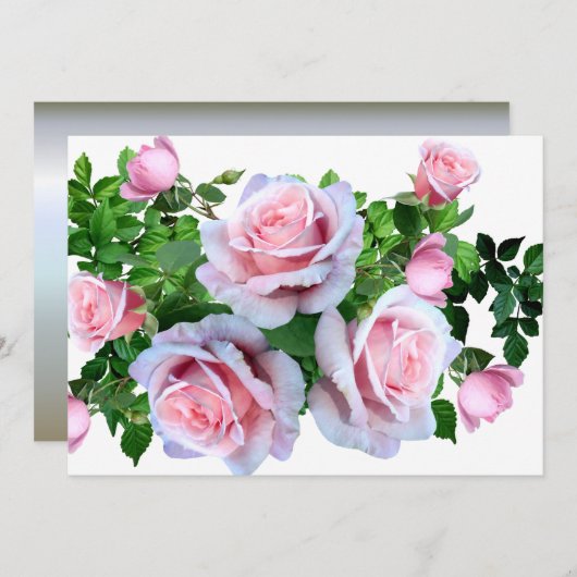 Roze bloeiend Roos (Voorkant / Achterkant)