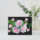 Roze bloeiend Roos Briefkaart (Staand voorkant)