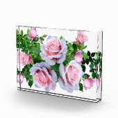 Roze bloeiend Roos Fotoblokken (Rechts)