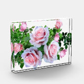 Roze bloeiend Roos Fotoblokken (Links)