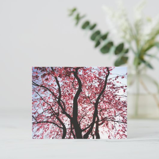 Roze bloeiend Wilg Briefkaart (Staand voorkant)