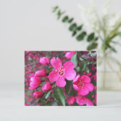 Roze bloeiende appel briefkaart (Staand voorkant)