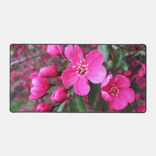 Roze bloeiende appel bureaumat (Voorkant)