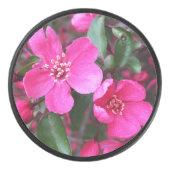 Roze bloeiende appel hockey puck (Voorkant)