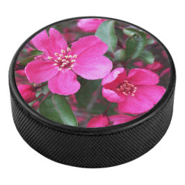 Roze bloeiende appel hockey puck