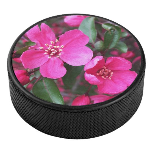 Roze bloeiende appel hockey puck (3/4)