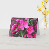 Roze bloeiende appel kaart (Gele Bloem)