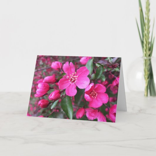 Roze bloeiende appel kaart (Voorkant)