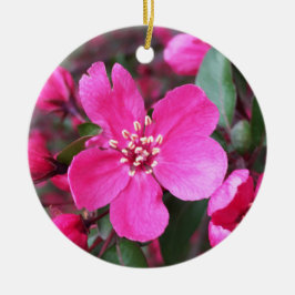 Roze bloeiende appel keramisch ornament