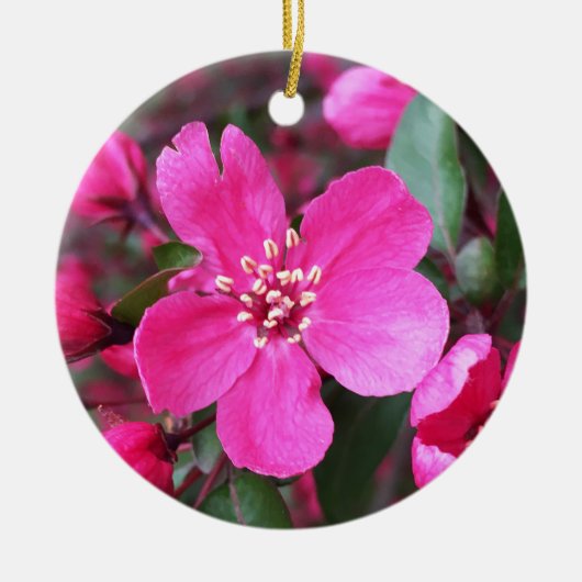 Roze bloeiende appel keramisch ornament (Voorkant)