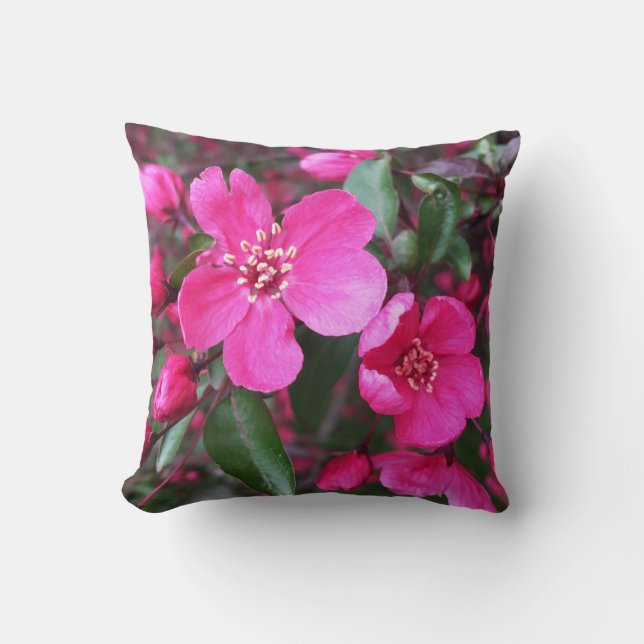 Roze bloeiende appel kussen (Voorkant)