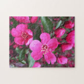 Roze bloeiende appel legpuzzel (Horizontaal)