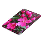 Roze bloeiende appel magneet (Linkerzijde)
