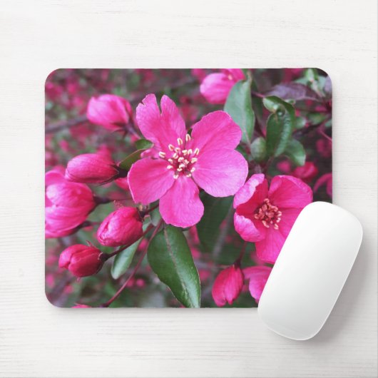 Roze bloeiende appel muismat (Met muis)