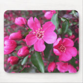 Roze bloeiende appel muismat (Voorkant)