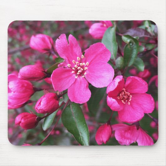 Roze bloeiende appel muismat (Voorkant)