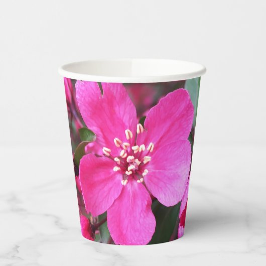 Roze bloeiende appel papieren bekers (Links)