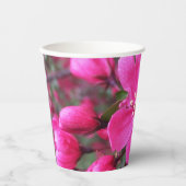 Roze bloeiende appel papieren bekers (Voorkant)
