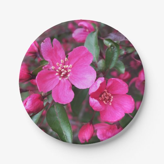 Roze bloeiende appel papieren bordje (Voorkant)
