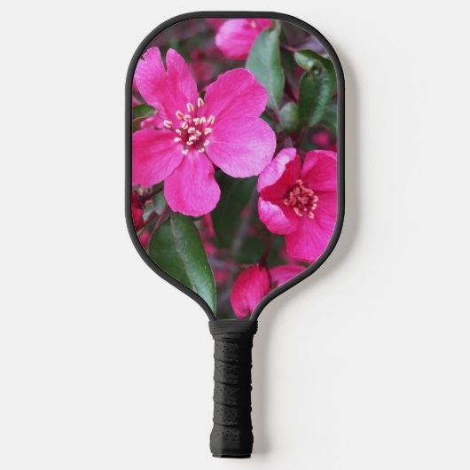 Roze bloeiende appel pickleball paddle (Achterkant)