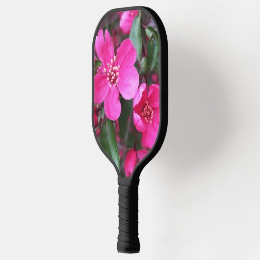Roze bloeiende appel pickleball paddle (Links)