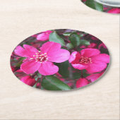 Roze bloeiende appel ronde kartonnen onderzetter (Gebogen)