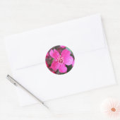 Roze bloeiende appel ronde sticker (Envelop)
